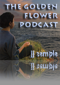 The Golden Flower Podcast cover image